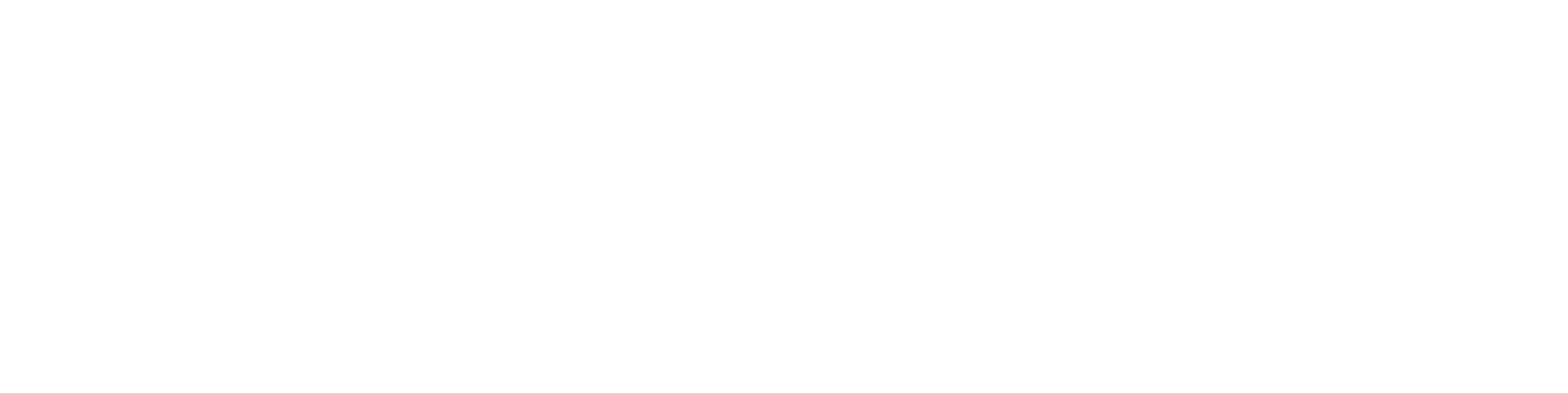 Hivision Logo